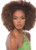 Janet Collection Noir AFRO KINKY BULK 24"