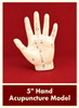 Hand Acupuncture Model 5"