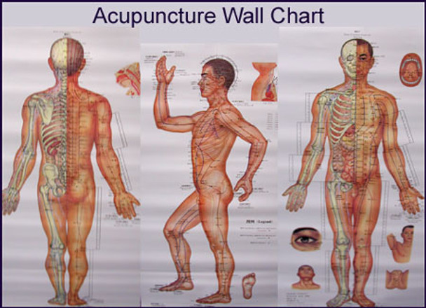 Acupuncture Poster Laminated 3 panel Set