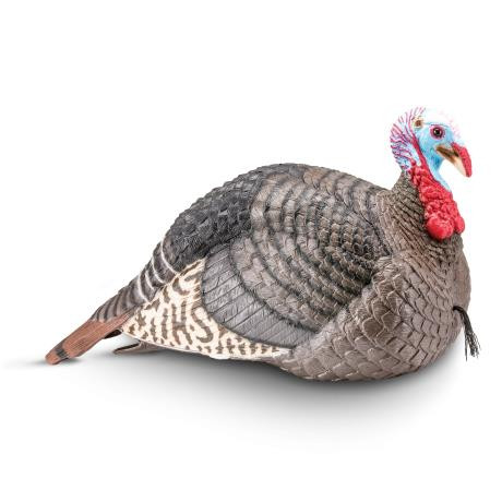 HS Strut Strut-Lite Semi-Aggressive Jake - Dance's Sporting Goods