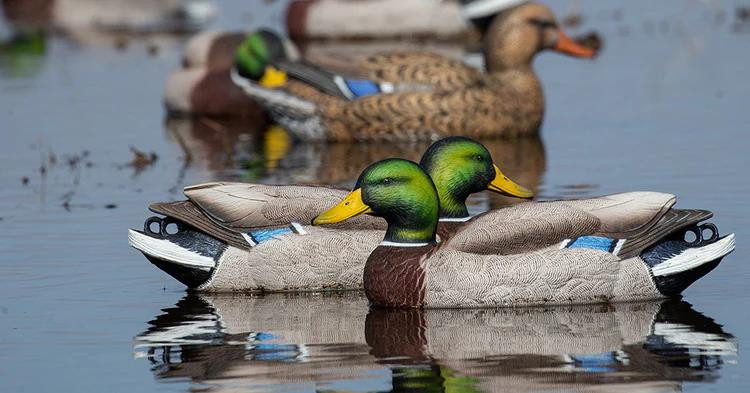 Greenhead Gear XD Series Mallard Decoys - Thumbnail 4