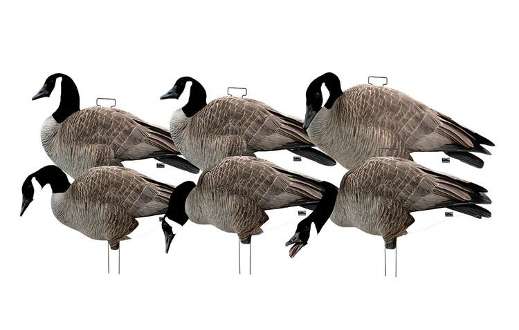 Greenhead Gear Canada Goose Silhouette Decoys - Thumbnail 3