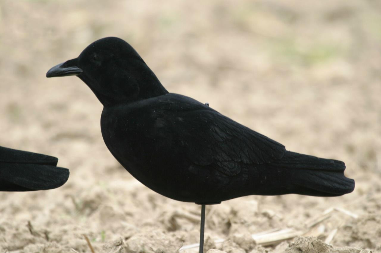 Greenhead Gear Crow Lookout Decoy Dance's Sporting Goods