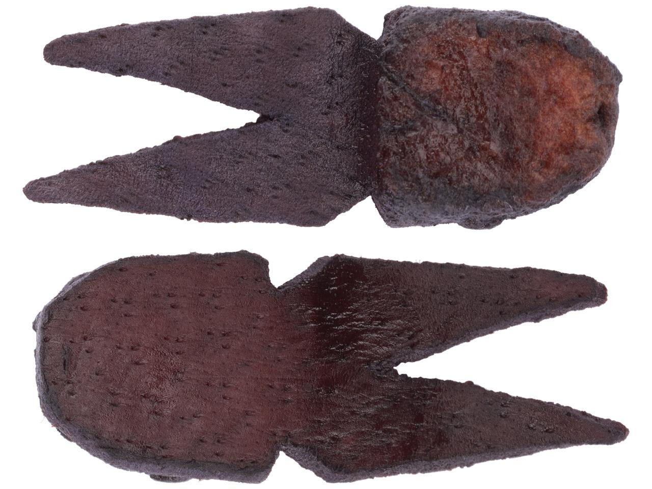 Señuelo De Pesca Uncle Josh Pork Frog #11 - Pack De 3, Piel De Cerdo, Para Jigs En Agua Dulce