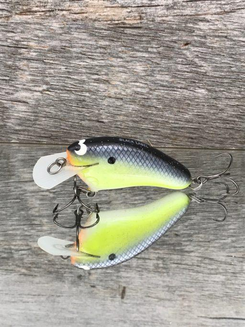 https://cdn11.bigcommerce.com/s-0xmhwue6/images/stencil/1280x1280/products/22627/49911/BLACK-LABEL-HICKSTER-GIZZARD-SHAD-FOIL-063272115070_image1__68942.1667939990.jpg?c=2