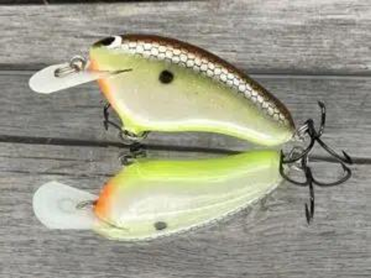 Black Label Balsa Hickster Hot Shad