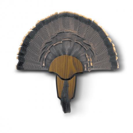 HS Strut Turkey Tail & Beard Mounting Kit Dance's Sporting Goods
