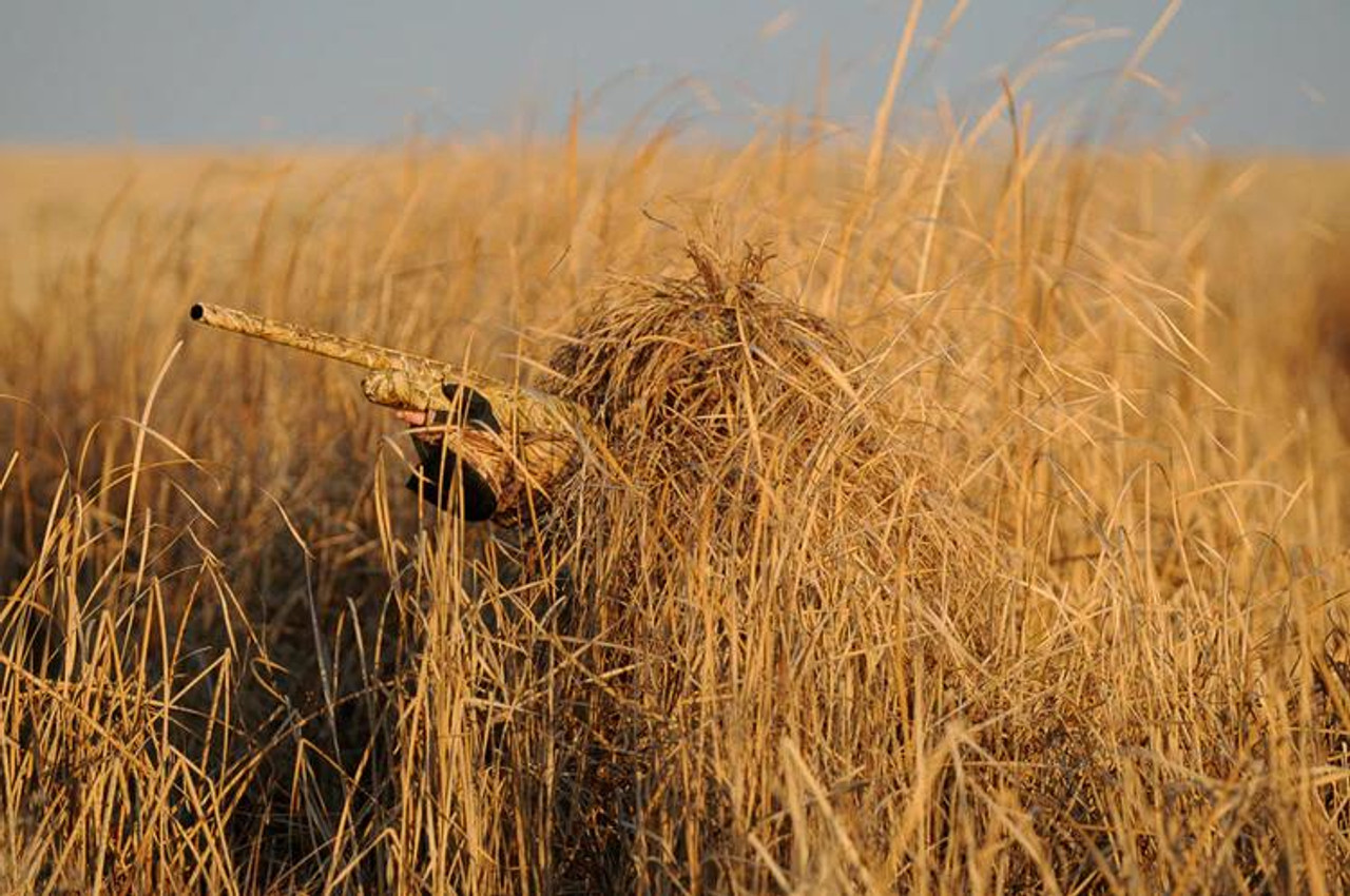 Banded Hybrid Slough Dog Stand