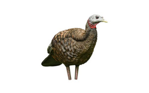 Avian-X LCD Breeder Turkey Decoy - 810280080087