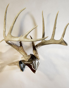 Skullhooker Skull Cap & Bone Bracket Combo - 856643002198