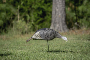 HS Strut Strut-Lite Feeding Hen - 021291000050