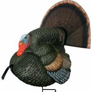 Higdon Apex Strutter Hard Body Turkey Decoy - Dance's Sporting Goods