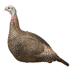 Hunters Specialties Strut-Lite Hen Decoy - 888151031704
