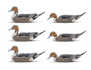 Rig'Em Right Mainline Series Pintails - 6 Pack - 850037670338 Rig'Em Right Mainline Series Pintails - 6 Pack - 850037670338