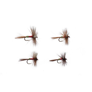 Cortland Royal Wulff Assortment 4 Pack - 043372709447