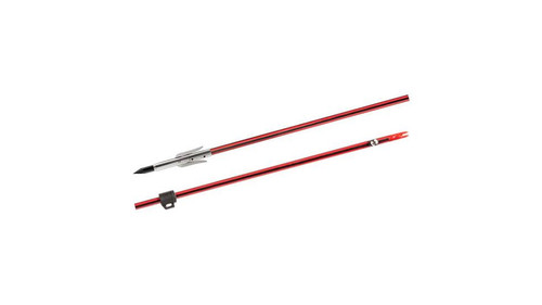 Bowfishing < Archery  Dance's Sporting Goods
