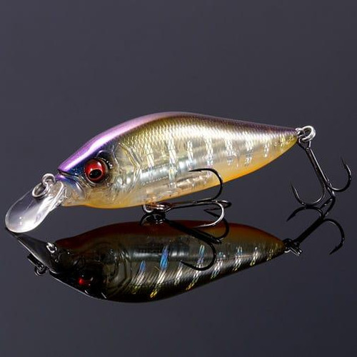 ZIPBAITS RIGGE 56F Flottant Leurre 820 (8239) EUR 19,44 - FR