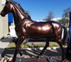 Life-size Bronze Walking Horse