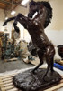 112" Rearing Stallion