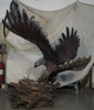 Custom-made Eagle Landing in a Nest