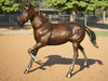 Small Horse with Polished Accents