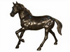 Small Horse