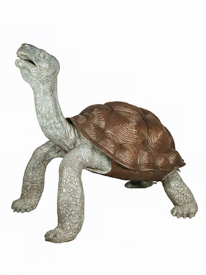 Large Tortoise Fountain - 61" Design