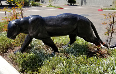 Bronze Stalking Panther 