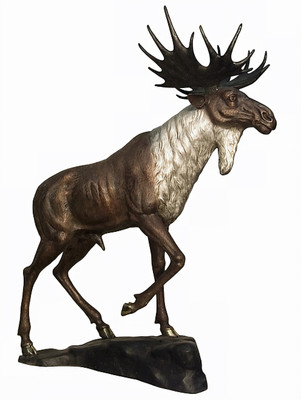 Juvenile Moose