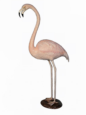 Flamingo - Special Patina