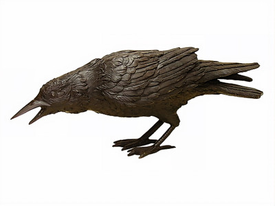 Black Raven - B - SALE!