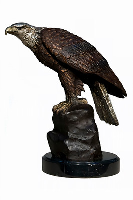 Eagle Perched on a Rock