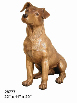 Jack Russell Terrier