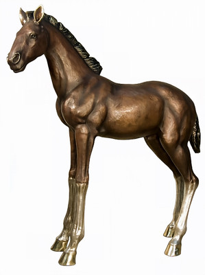 A Standing Colt - 52"H