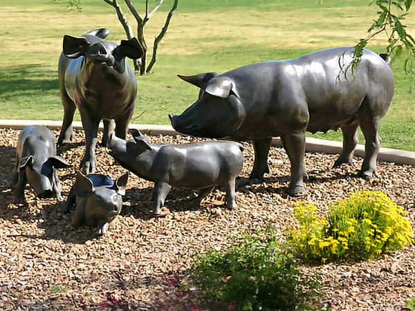 Pastoral Harmony