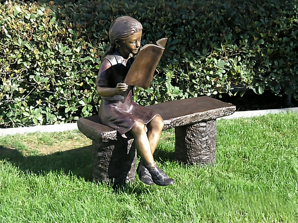 Girl Reading a Book