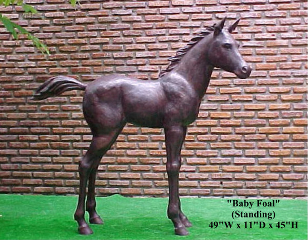 Foal - Standing
