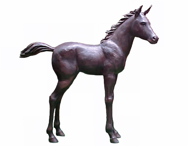 First Light - Foal