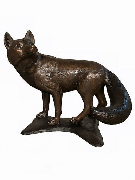 Curious Fox - Custom Design