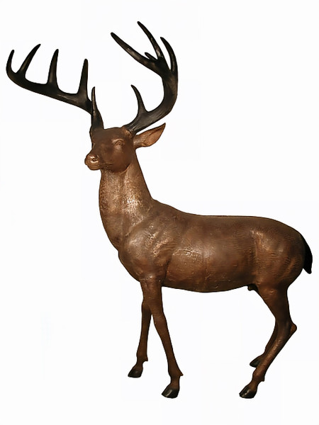 80" American White Tail Deer - Buck