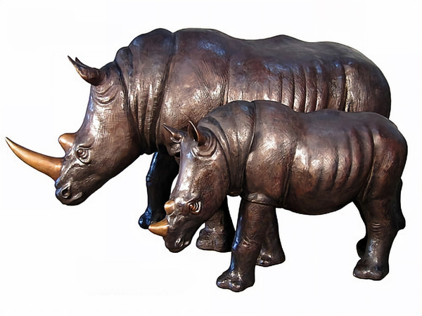 Rhino Mom and her Calf
