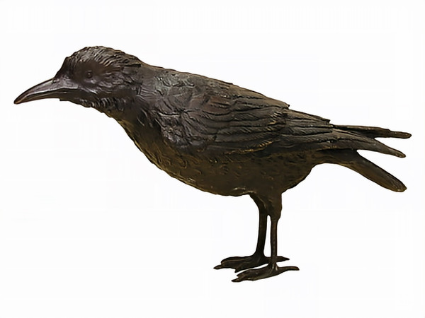 Black Raven - A - SALE!