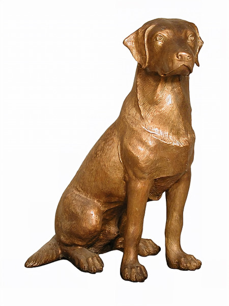 Golden Labrador, Sitting - 31"H