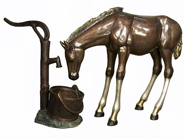 Colt Drinking from a Recirulating Water Pump Fountain