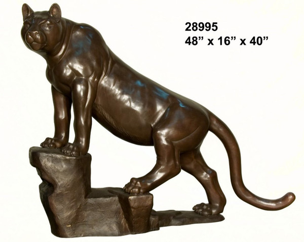 Mountain Lion on a Rock Ledge