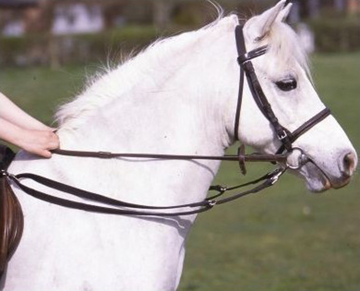 Daisy Reins (AntiGrazing)