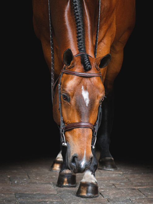 Equiline Scott Stewart Hunter Bridle