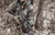 UTG® ACCU-SYNC® 1" QR PICATINNY SCOPE RINGS, MEDIUM PROFILE, AQR115