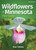 Wildflowers of Minnesota Field Guide - 2nd edition - 9781647551032