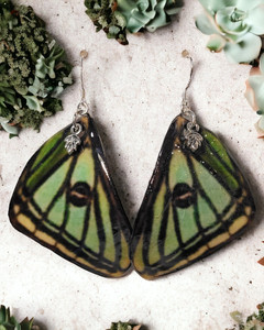 Luna Earrings